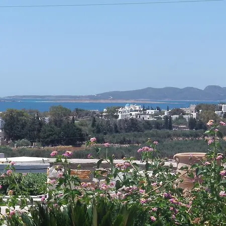 Narkissos Aliki (Paros)